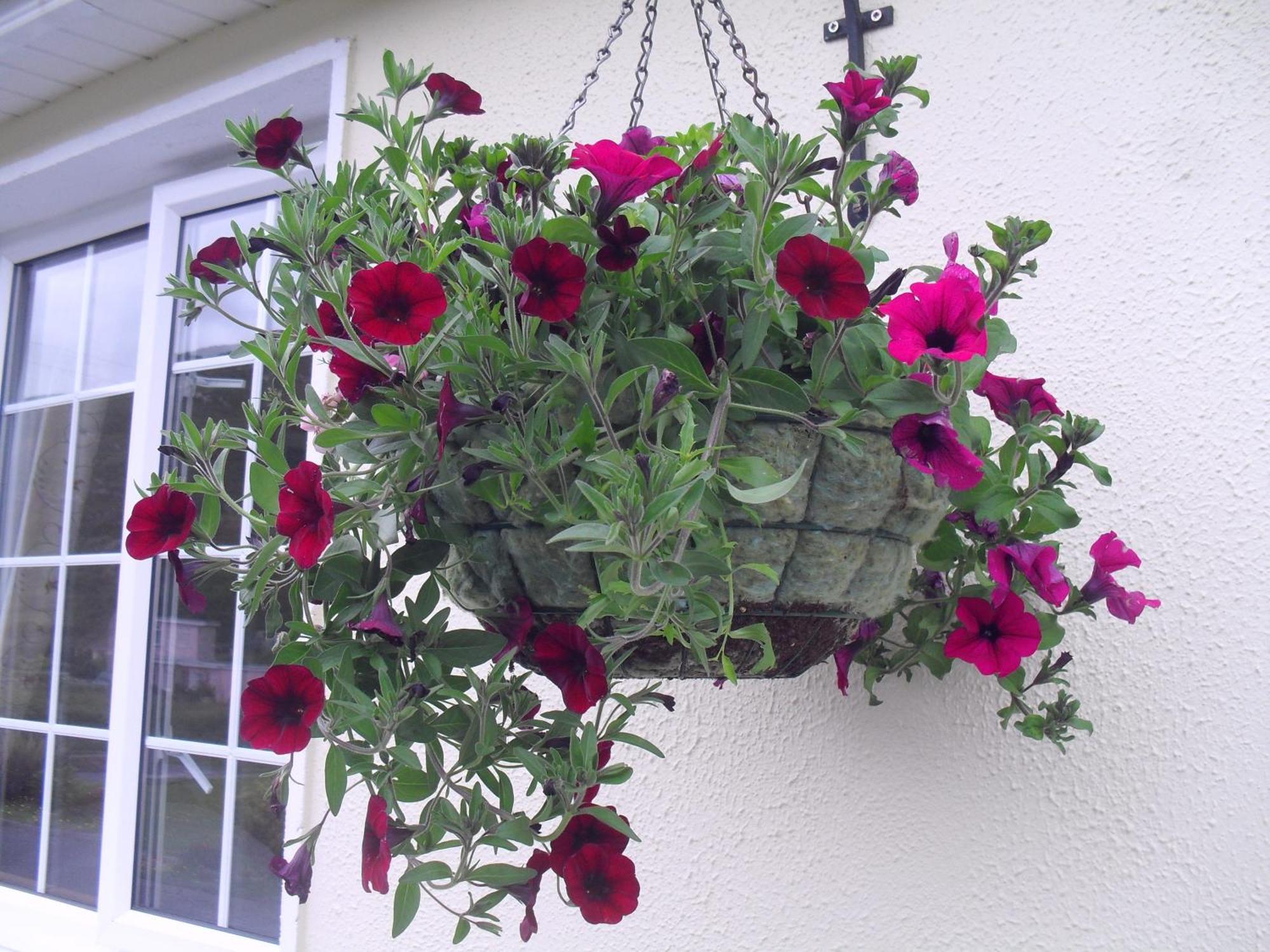 Seafield House B&B Clifden Exterior photo